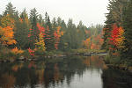 Digital Photography - Canon EOS -  Maine