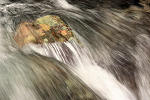Digital Photography - Canon EOS -  Maine