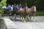Returning to Wildwood Stables after a ride around the carriage roads on Day Mountain, Acadia National Park
