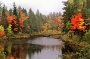 River in Northen Maine, Fall