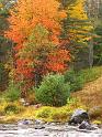 Fall foliage near Ellesworth, Maine