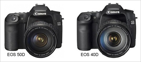 Nikon D90 vs. Nikon D300 (vs. EOS 40D vs. EOS 50D)