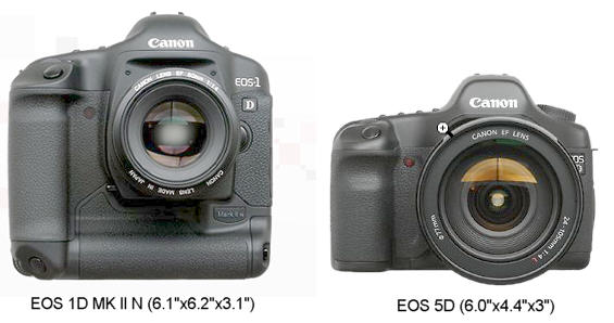 Canon EOS 5D Review