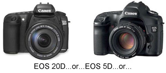 Canon EOS 5D or EOS 20D - which one to choose?