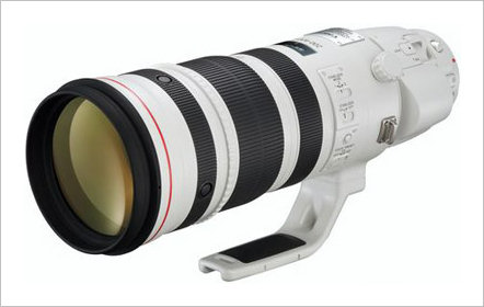 Canon EF 200-400/4L IS USM Extender Hands-on Review