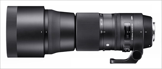 Sigma 150-600/5-6.3 DG OS HSM C (Contemporary) Hands on review