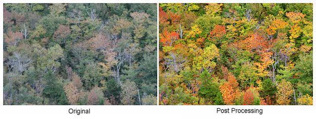 Fall Foliage Photography. Canon EOS