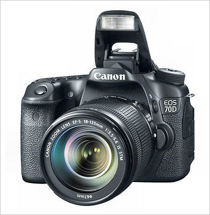 Canon EOS D Hands on Review   Bob Atkins Photography