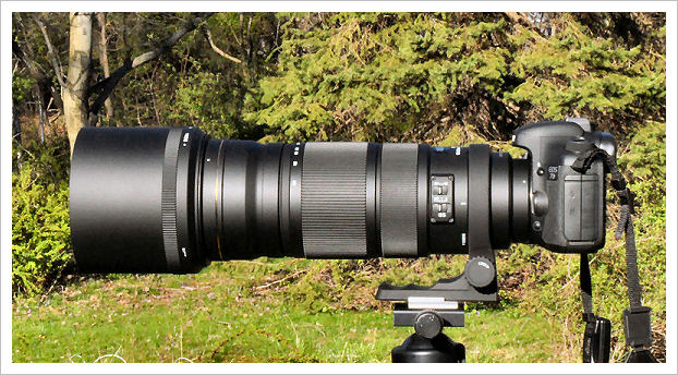 SIGMA 120-300mm F2.8 DG OS HSM Sports