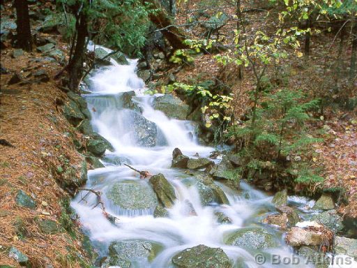 river_TEMP0540.JPG   -   River, Acadia National Park, Maine